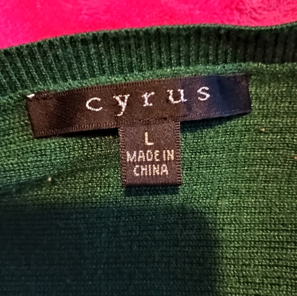 NWOT Cyrus Womens Large Royal Pine Green Sweater Top Meeting Dinner Drinks - Picture 3 of 3